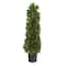 3ft. Potted Sweet Bay Cone Topiary Tree